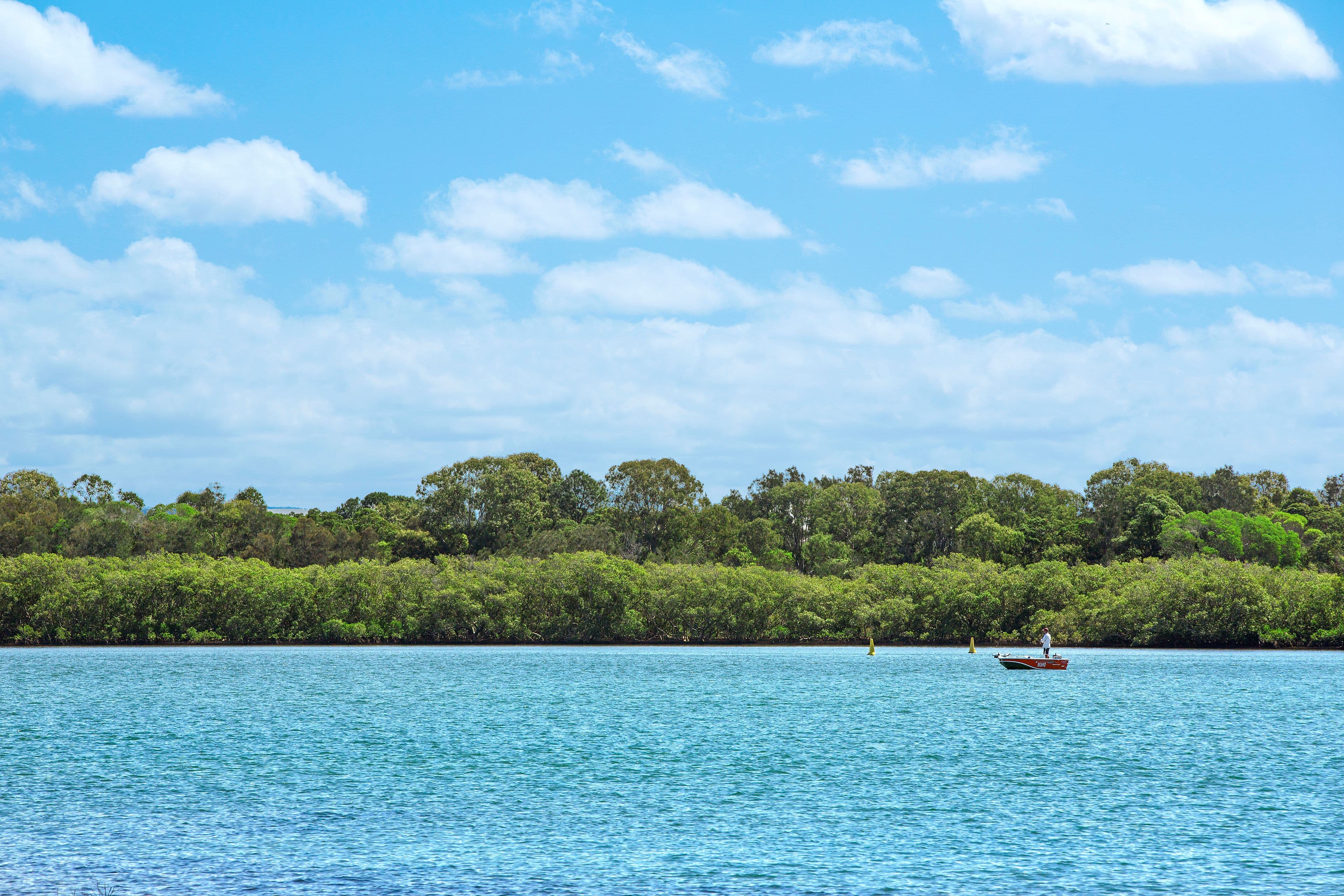 2 Buna Street, Maroochydore QLD 4558, Maroochydore - Thumbnail 7