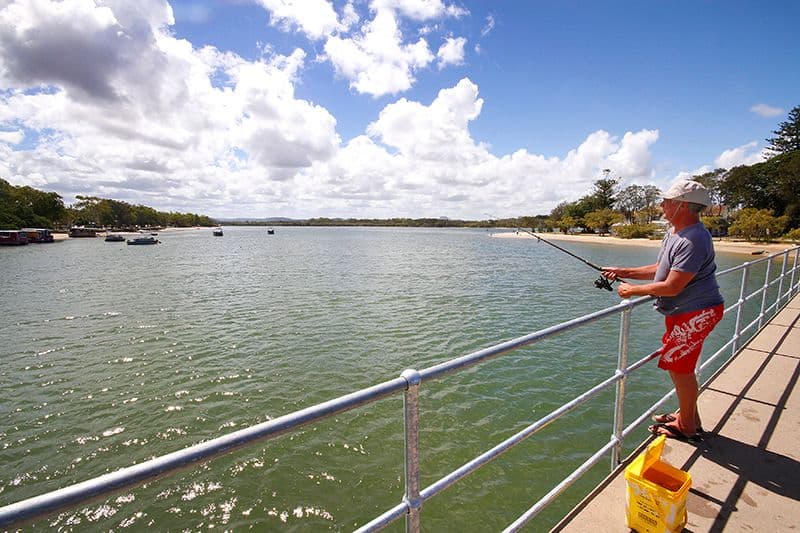 93 Bradman Avenue, Maroochydore QLD 4558, Maroochydore - Thumbnail 5