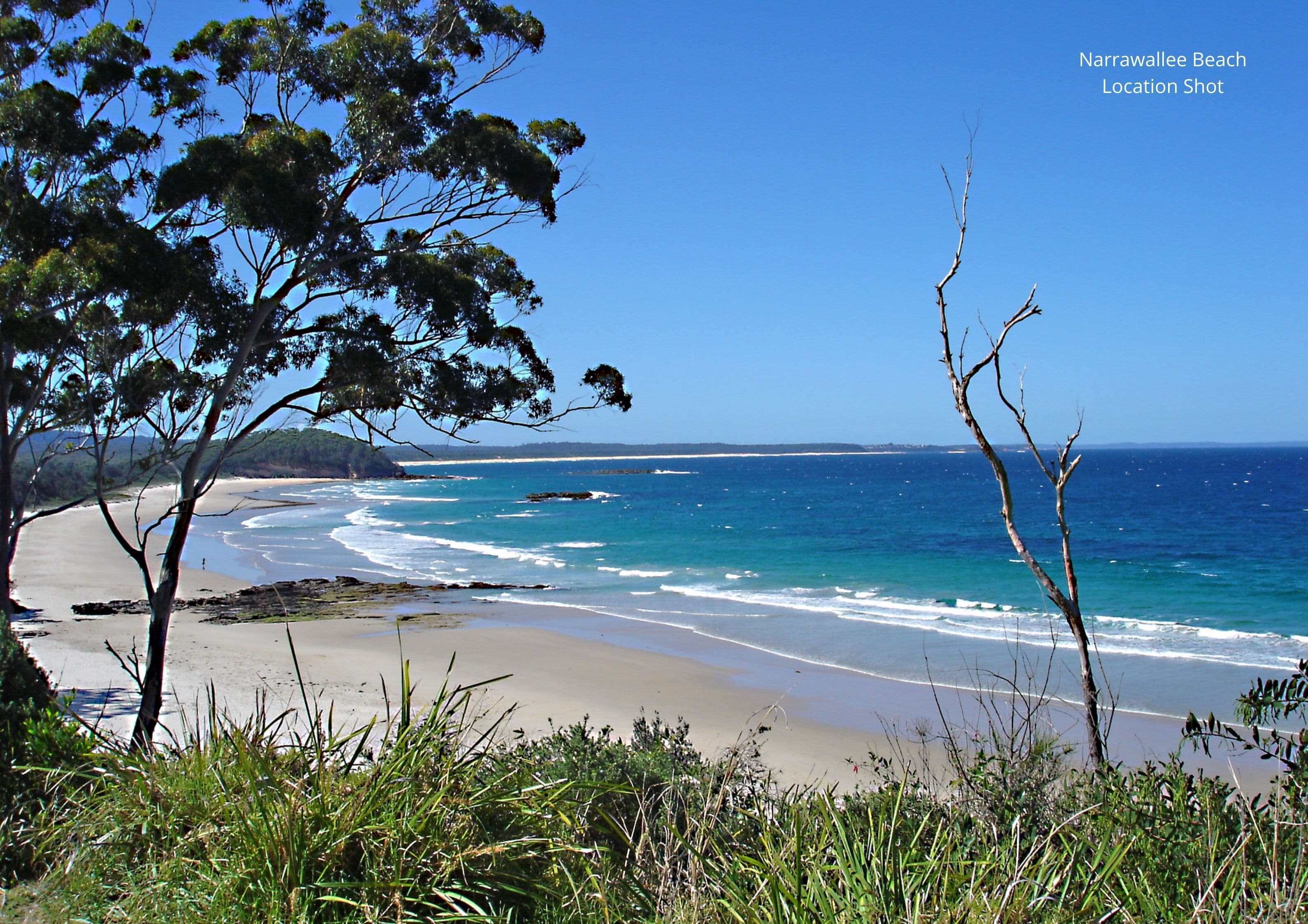 19 Manning Avenue, Narrawallee NSW 2539, Narrawallee - Thumbnail 6