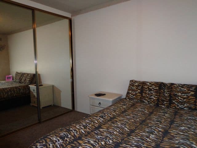 132 Lansdowne Road, CANLEY VALE NSW 2166, Canley Vale - Thumbnail 5
