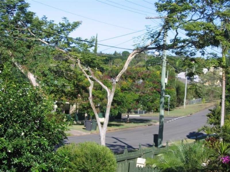 84 Gatton Street, MOUNT GRAVATT EAST QLD 4122, Mount Gravatt East - Thumbnail 2