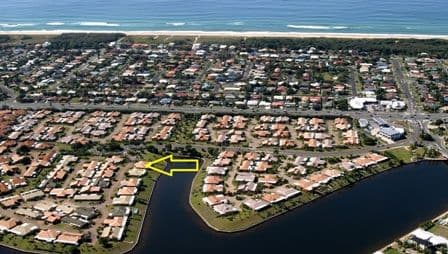 Unit 185 'The Palms' 4 Melody Court, WARANA QLD 4575, Warana - Image 1
