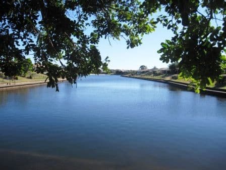 Unit 185 'The Palms' 4 Melody Court, WARANA QLD 4575, Warana - Thumbnail 3
