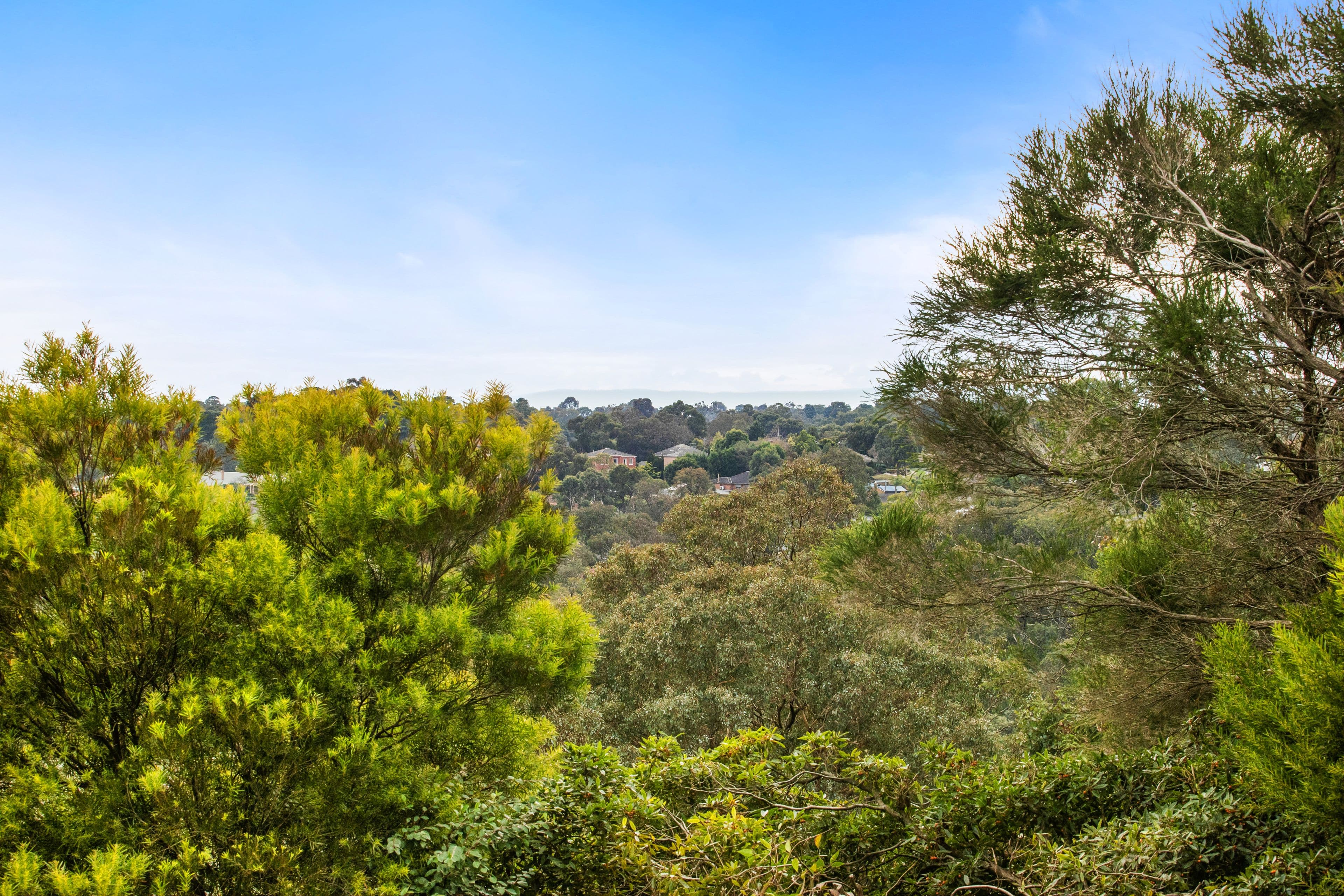 11 Cantala Crescent, Ringwood North VIC 3134, Ringwood North - Thumbnail 7