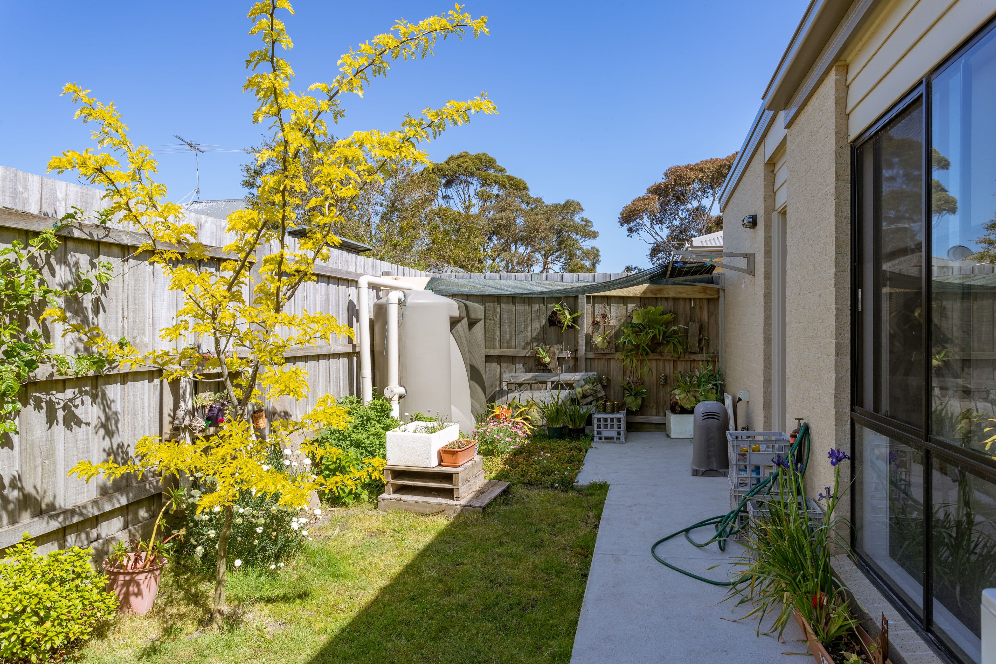 1 Carl Street, Wonthaggi VIC 3995, Wonthaggi - Thumbnail 7