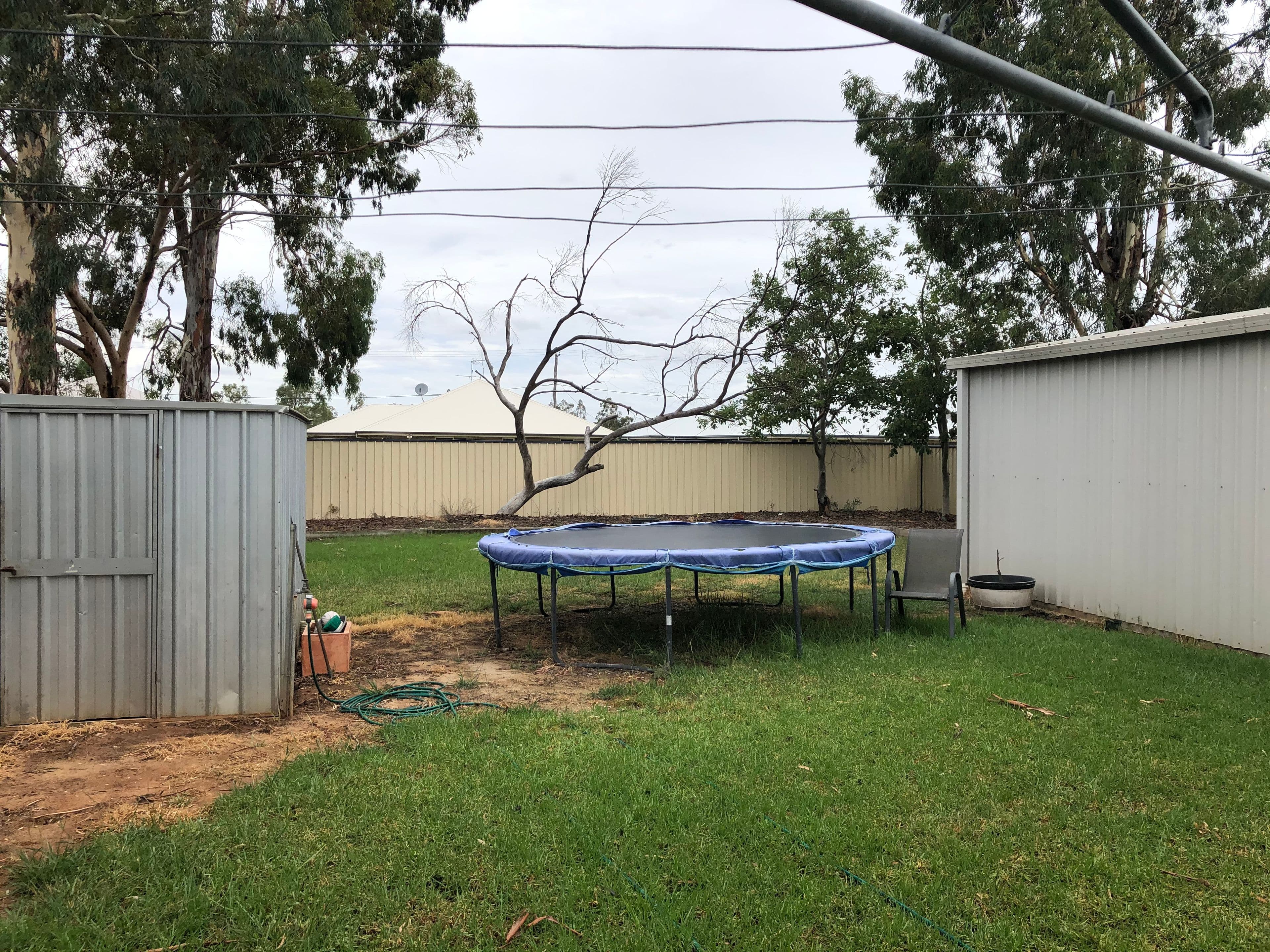 8 Derry Street, Roma QLD 4455, Roma - Thumbnail 4