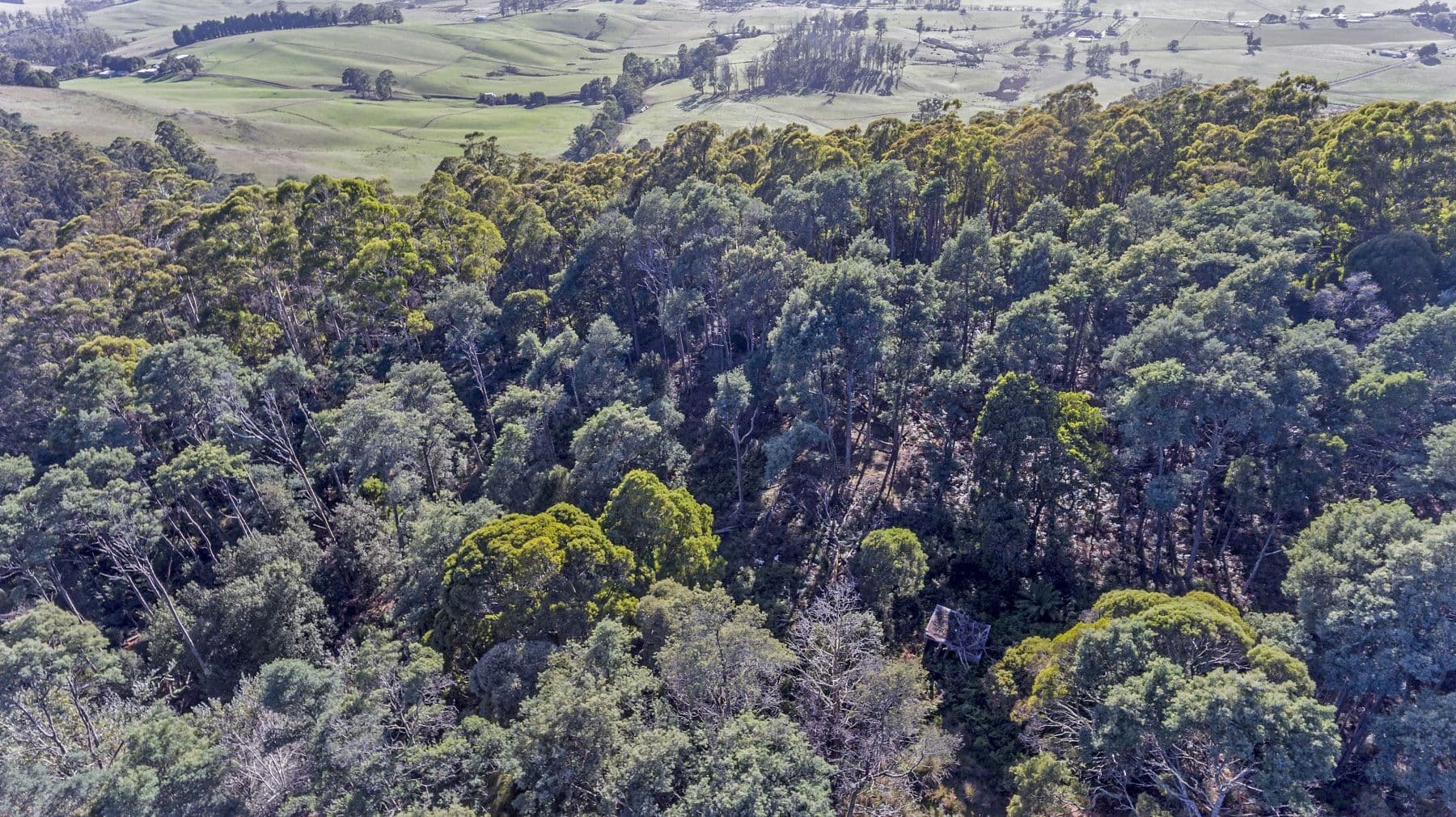 Evans Road, Karoola TAS 7267, Karoola - Thumbnail 2