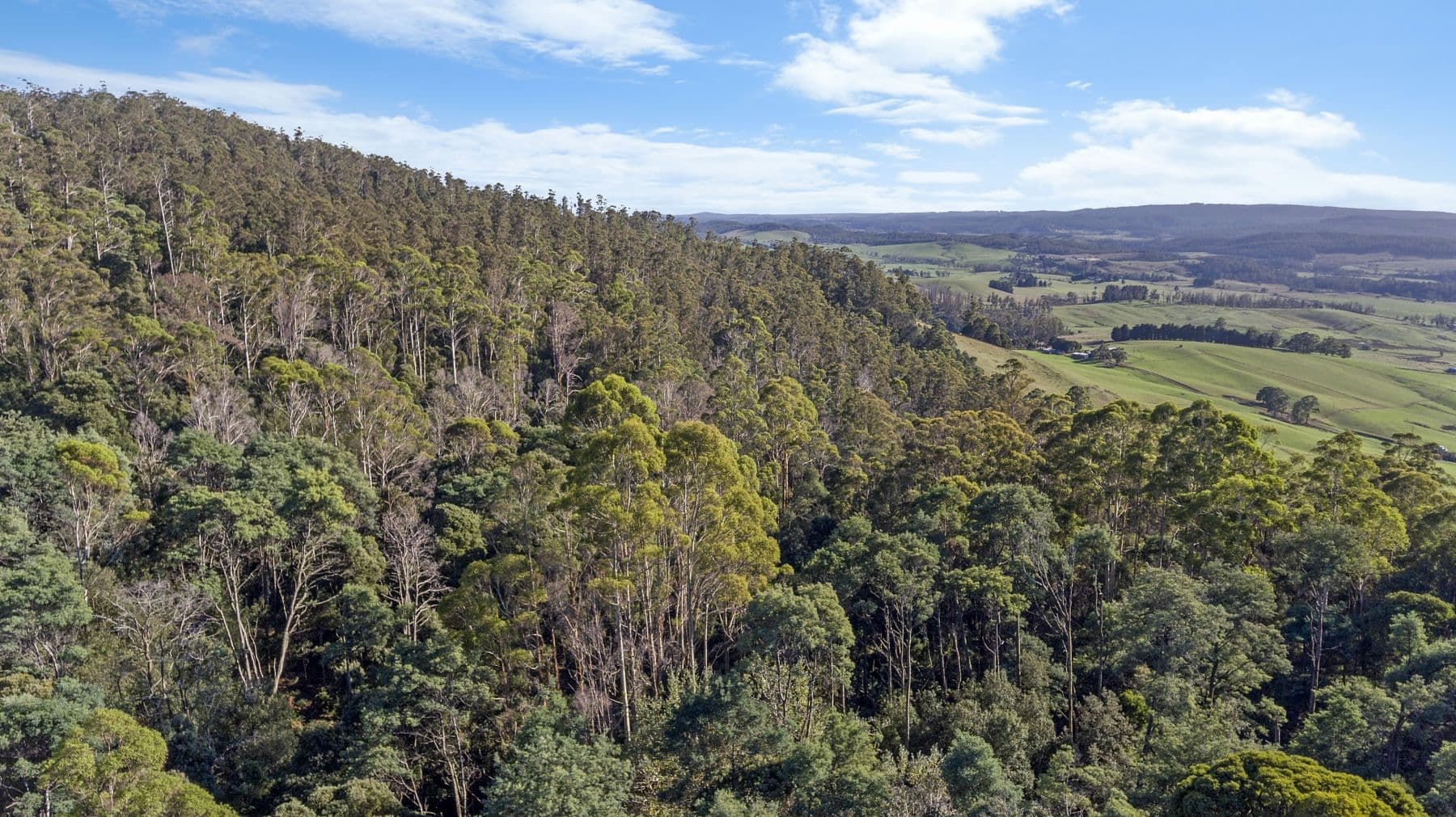 Evans Road, Karoola TAS 7267, Karoola - Thumbnail 4