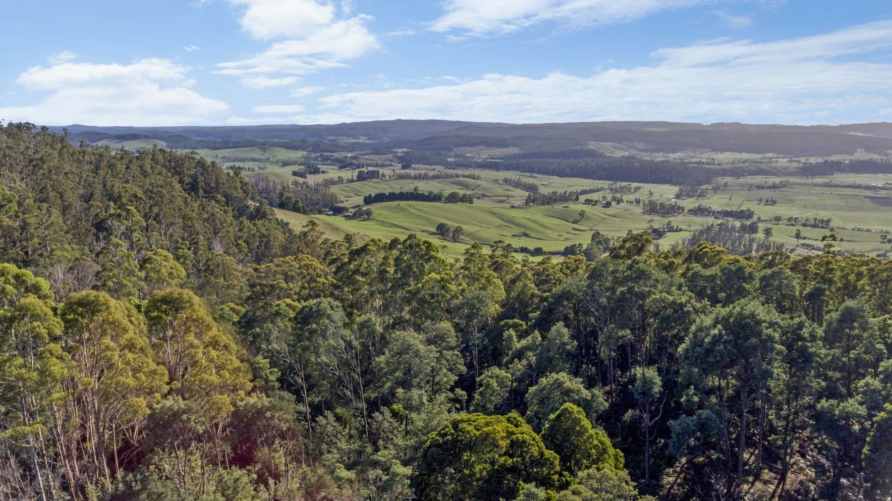Evans Road, Karoola TAS 7267, Karoola - Thumbnail 5