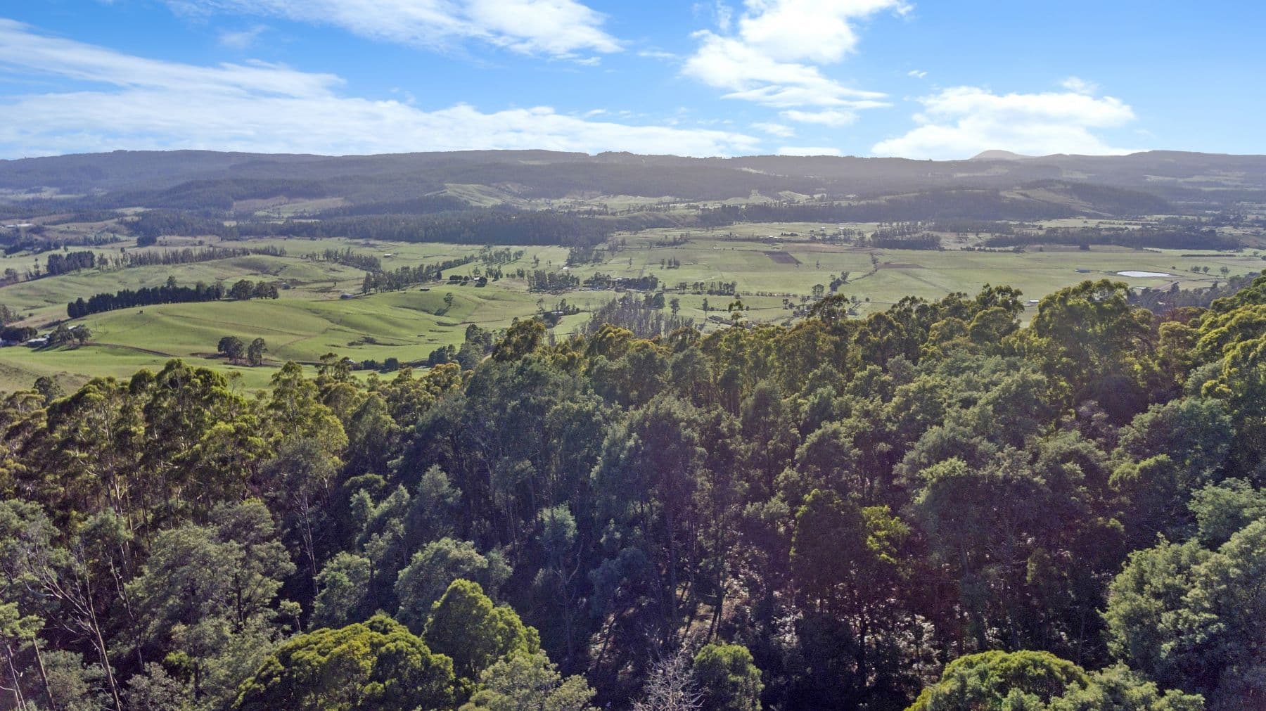 Evans Road, Karoola TAS 7267, Karoola - Thumbnail 6