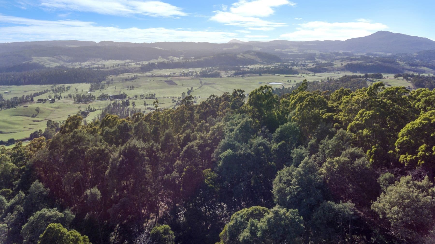 Evans Road, Karoola TAS 7267, Karoola - Thumbnail 7