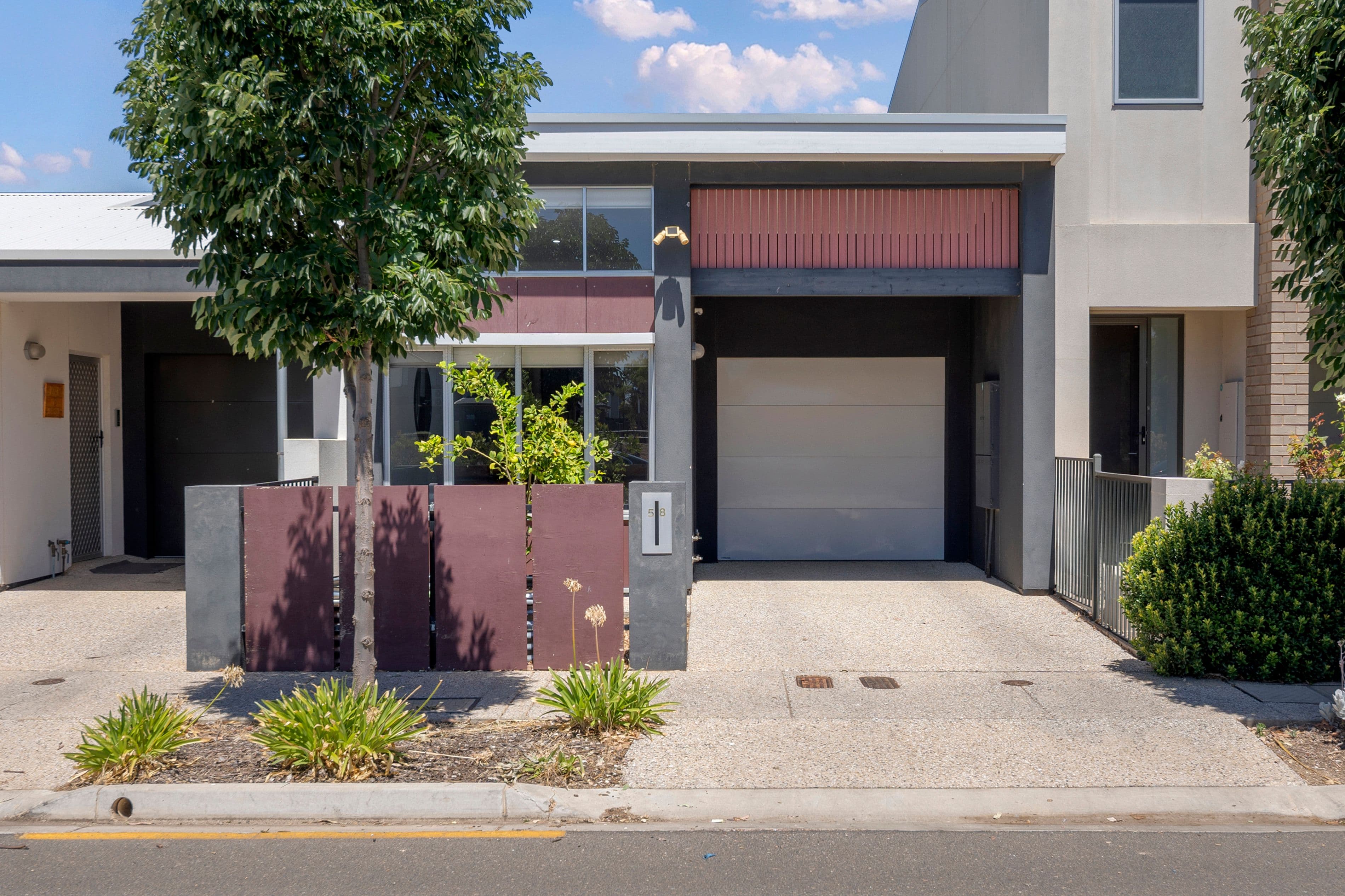 58 South Parkway, Lightsview SA 5085, Lightsview - Thumbnail 2