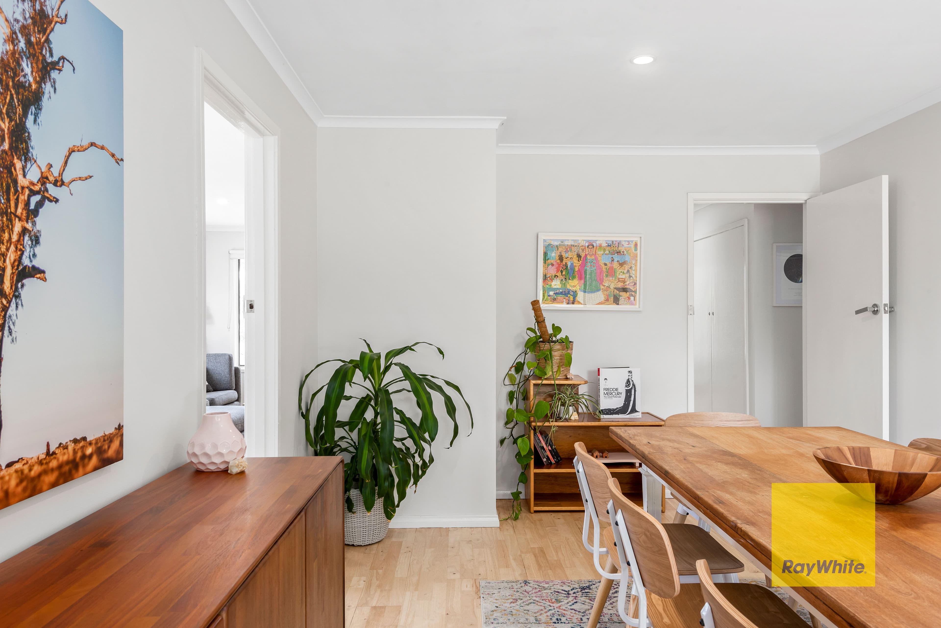 17 Bennett Street, Drysdale VIC 3222, Drysdale - Thumbnail 3