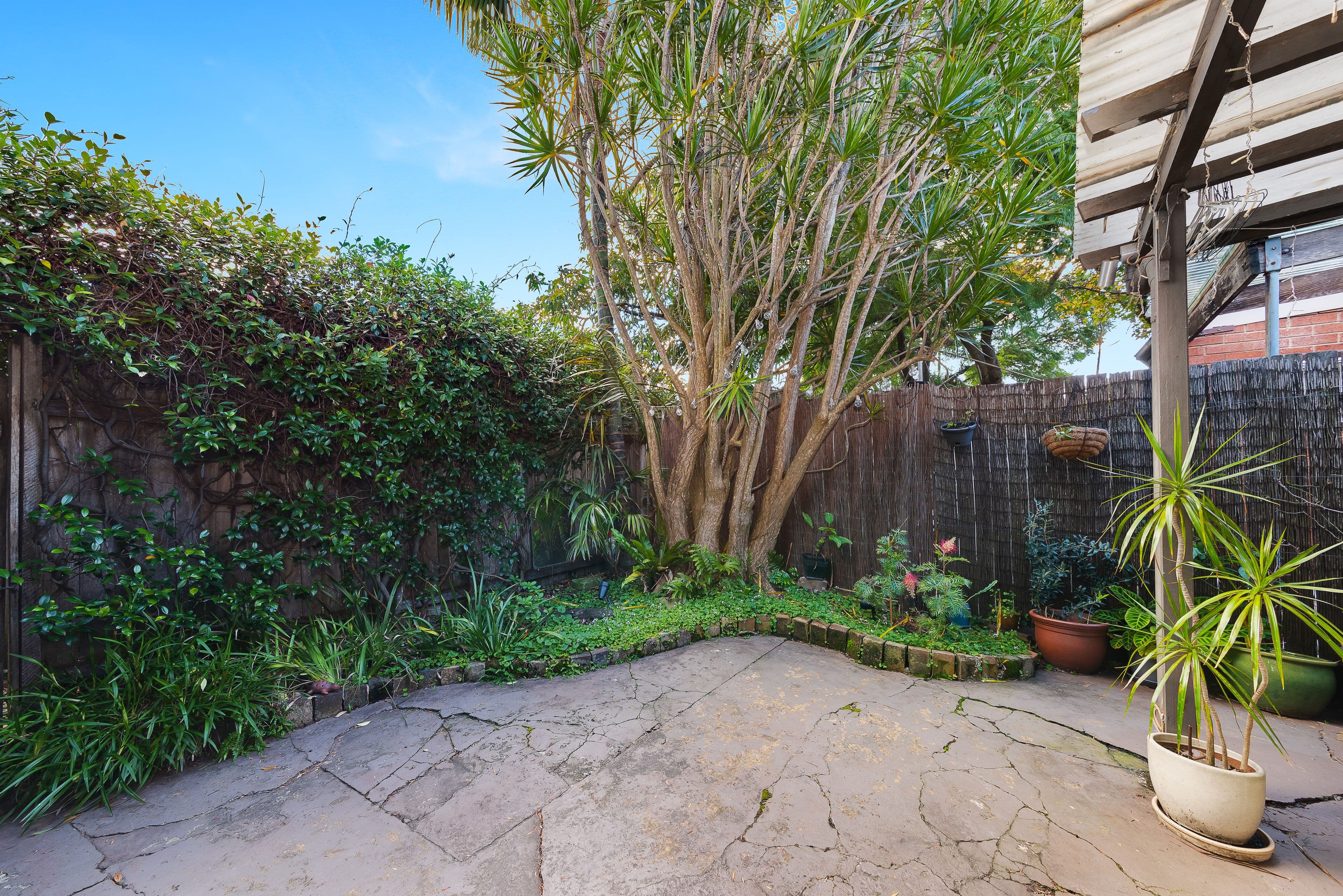 65 Chelmsford Street, Newtown NSW 2042, Newtown - Thumbnail 5