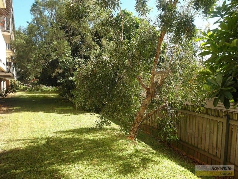 18 Best Street, HENDRA QLD 4011, Hendra - Thumbnail 4