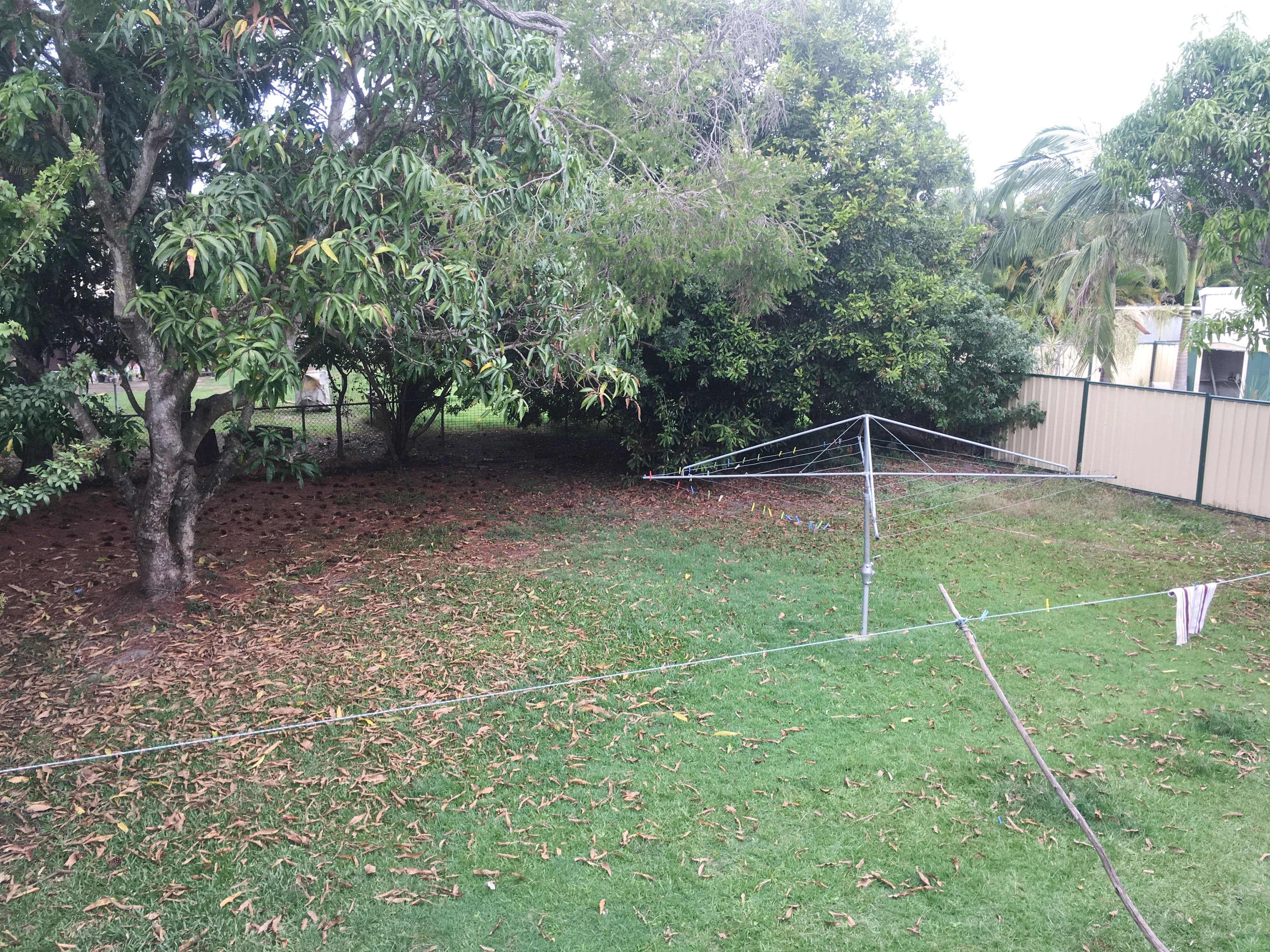 98 Bailey Road, Deception Bay QLD 4508, Deception Bay - Thumbnail 7