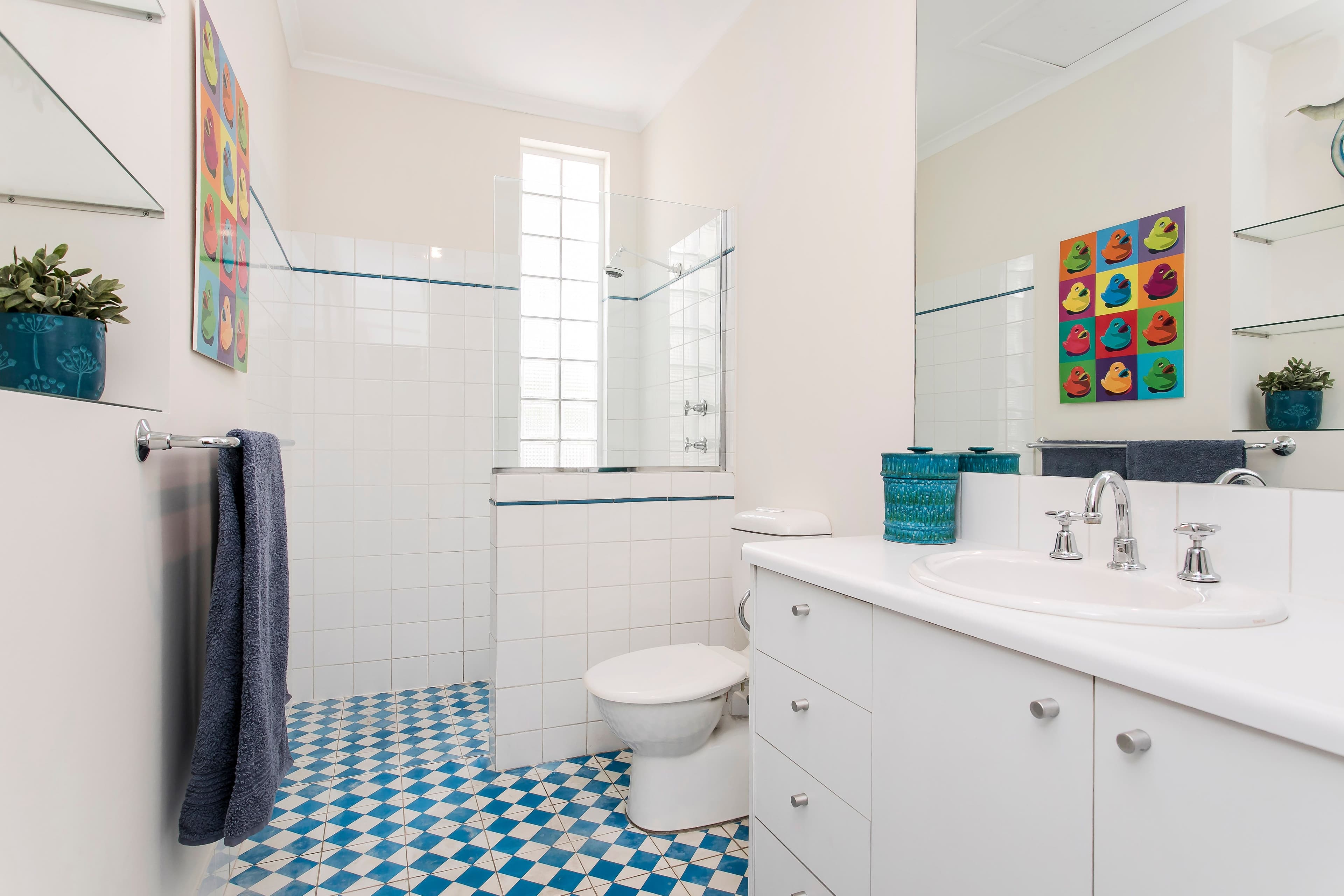 10 Erskine Street, Goodwood SA 5034, Goodwood - Thumbnail 6