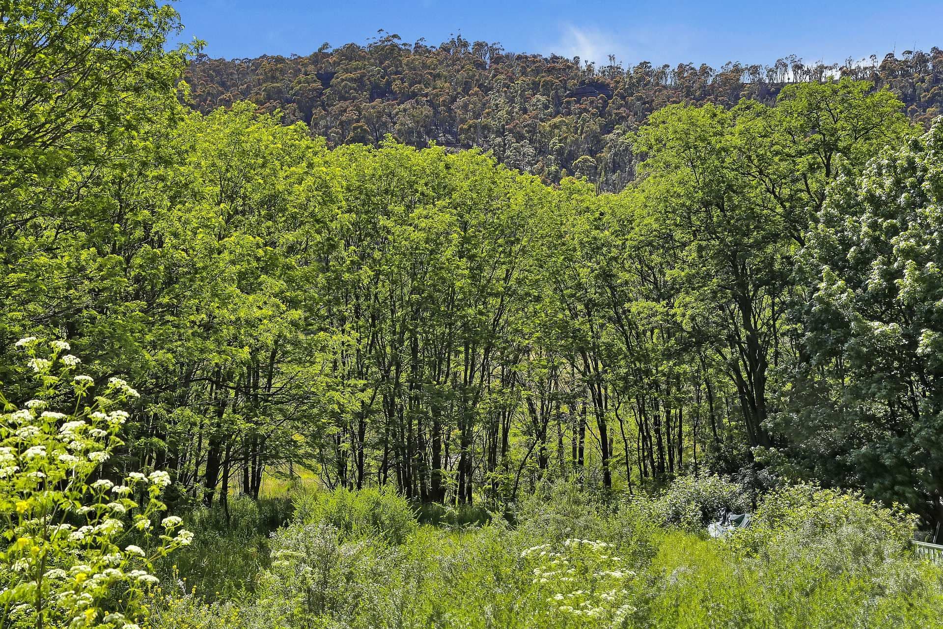 101 Macauley Street, Lithgow NSW 2790, Lithgow - Thumbnail 7
