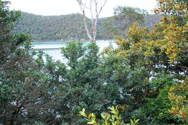 3 Milloo Parade, CHEERO POINT NSW 2083, Cheero Point - Thumbnail 2