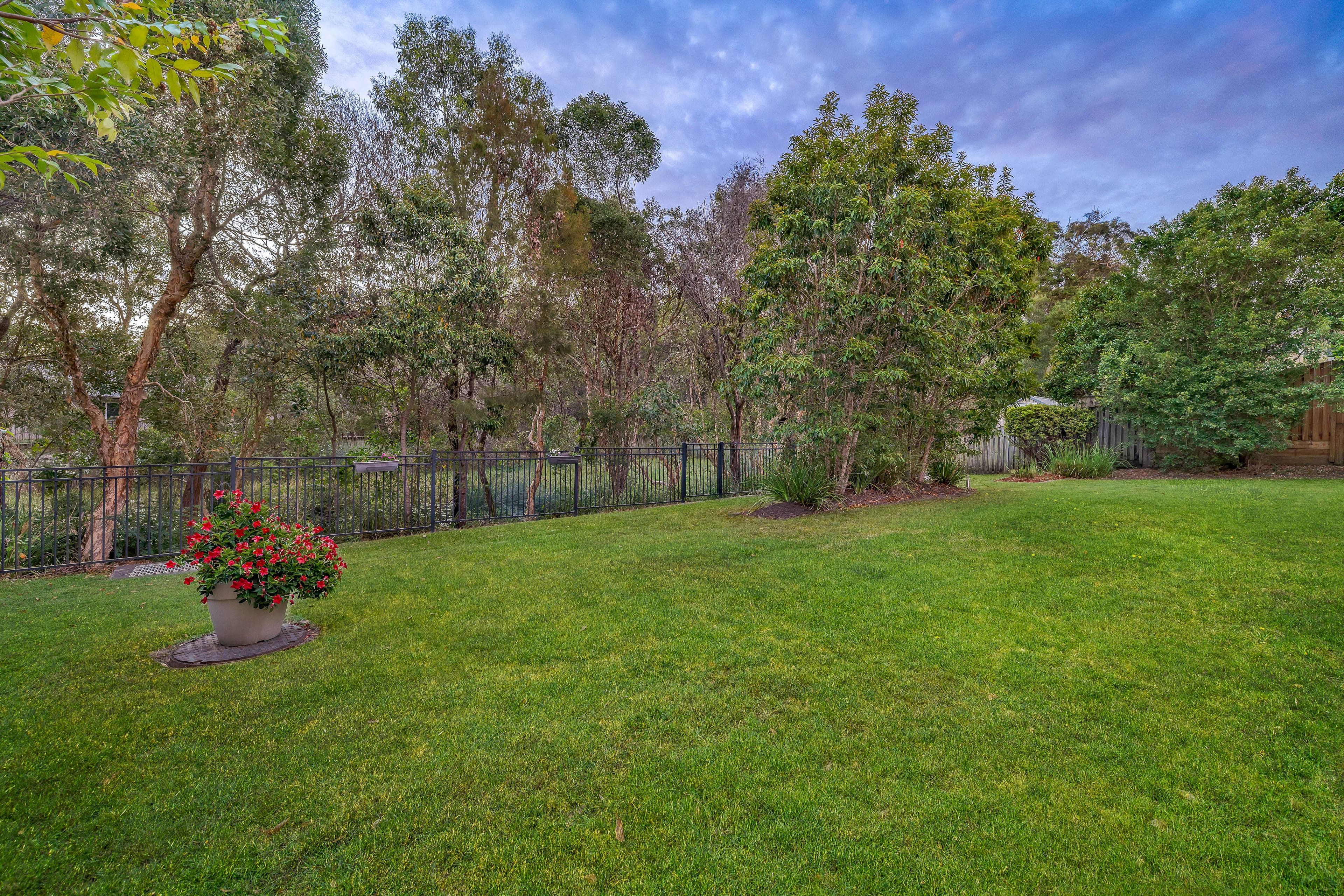 8 Oceanblue Rise, Upper Coomera QLD 4209, Upper Coomera - Thumbnail 4
