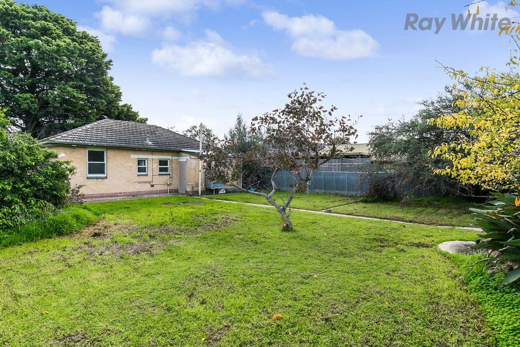 19 Allambee Avenue, Edwardstown SA 5039, Edwardstown - Thumbnail 8