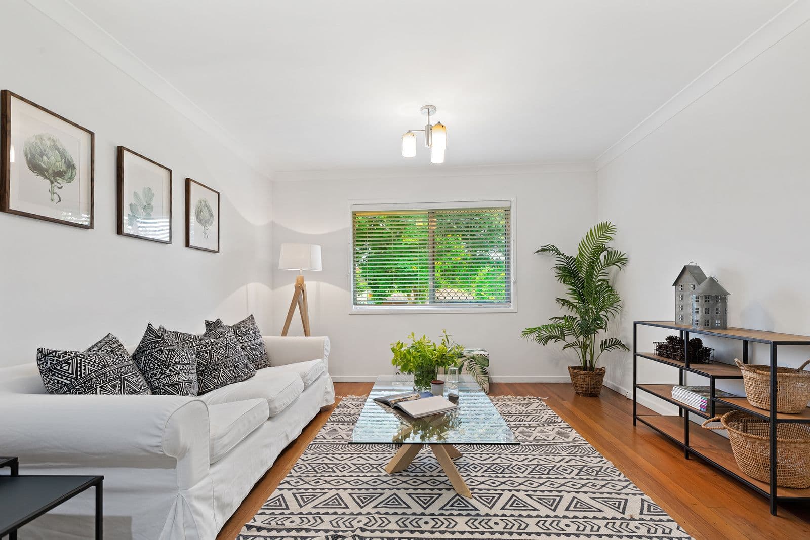 117 Highgate Street, Coopers Plains QLD 4108, Coopers Plains - Thumbnail 4