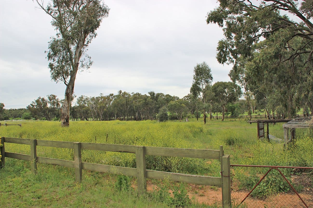 173 RIVER Road, Coonabarabran NSW 2357, Coonabarabran - Thumbnail 2