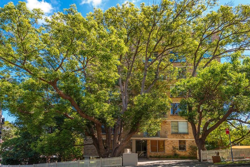 36 Wycombe Road, NEUTRAL BAY NSW 2089, Neutral Bay - Thumbnail 5
