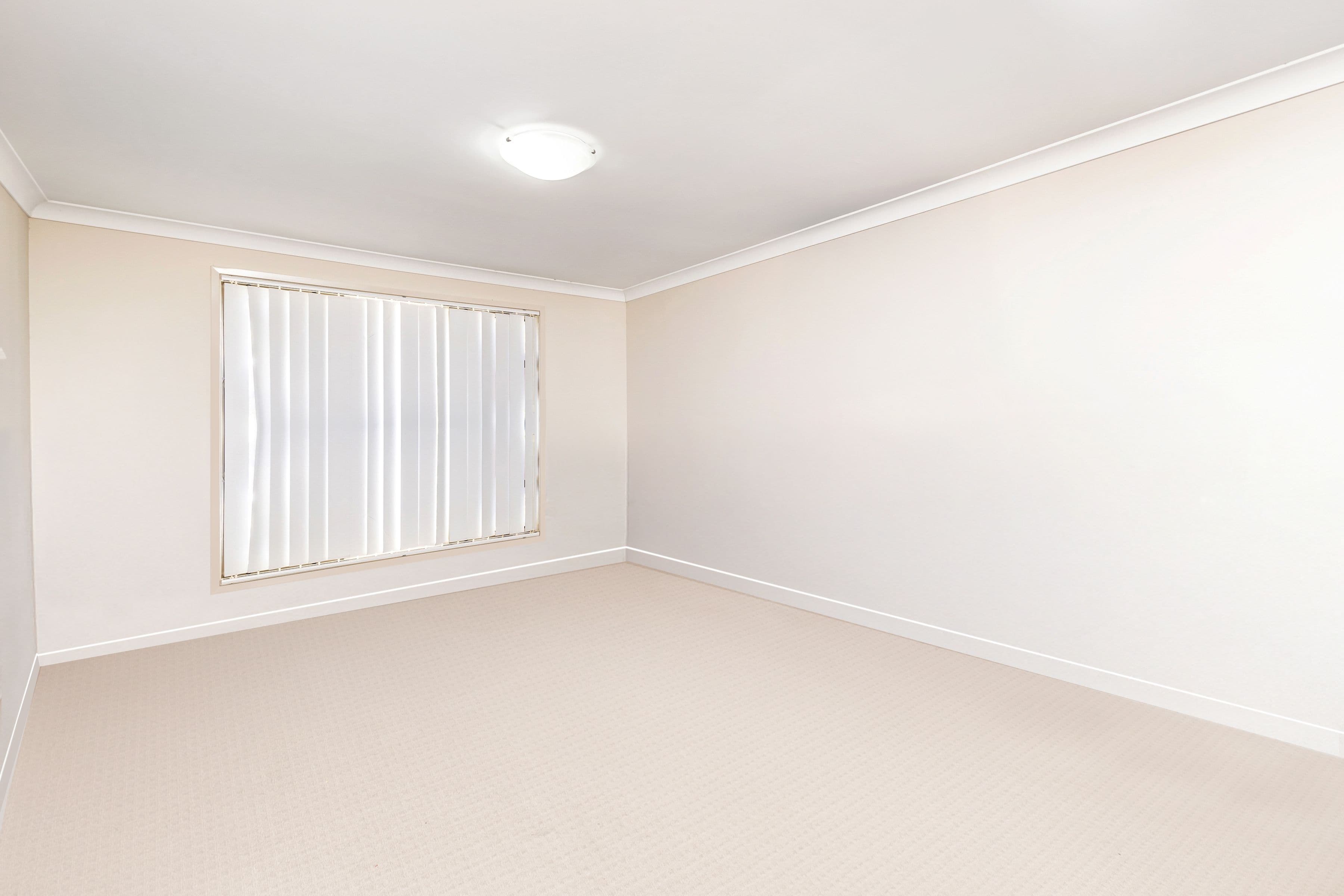 14 Viola Place, Edgeworth NSW 2285, Edgeworth - Thumbnail 3