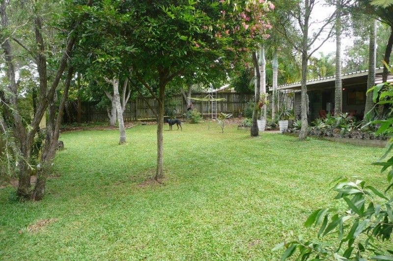 12 Osprey Street, BLI BLI QLD 4560, Bli Bli - Thumbnail 2