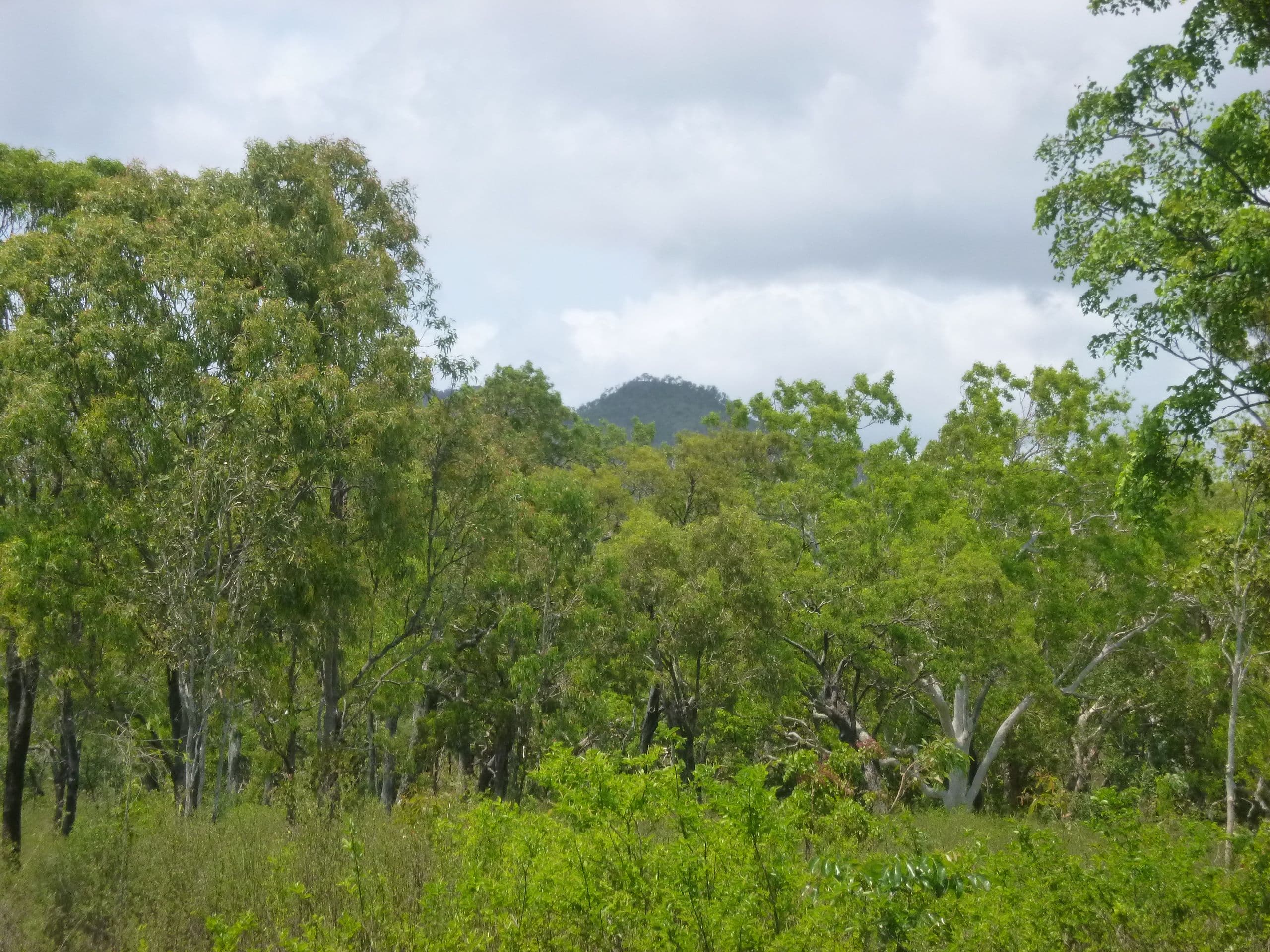 Lot 1 Mount Amos Road, Cooktown QLD 4895, Cooktown - Thumbnail 3