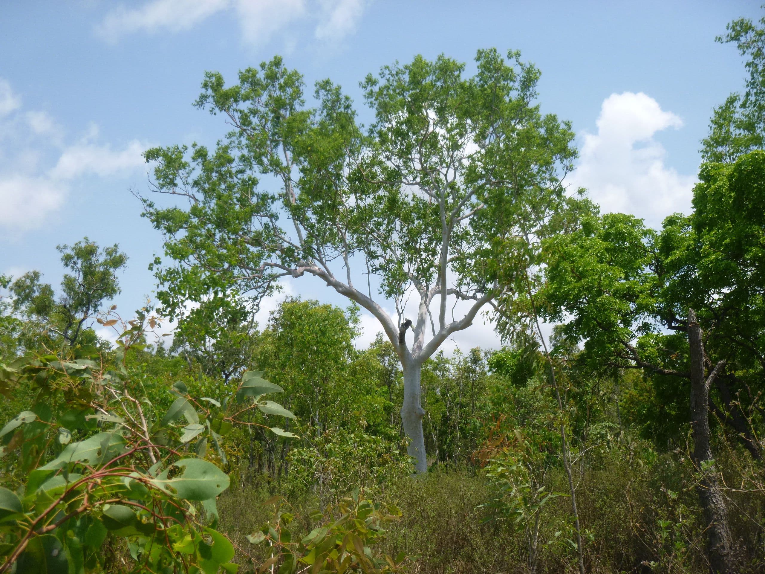 Lot 1 Mount Amos Road, Cooktown QLD 4895, Cooktown - Thumbnail 4