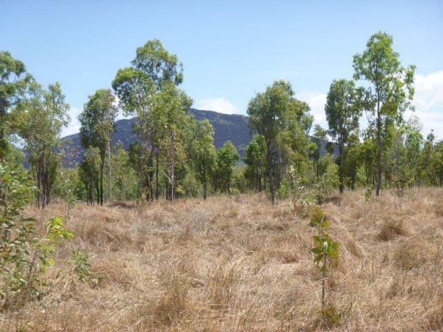 Lot 1 Mount Amos Road, Cooktown QLD 4895, Cooktown - Thumbnail 6