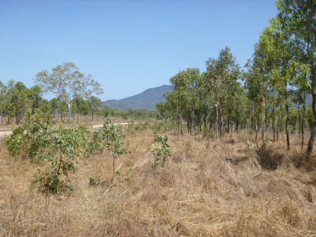 Lot 1 Mount Amos Road, Cooktown QLD 4895, Cooktown - Thumbnail 7