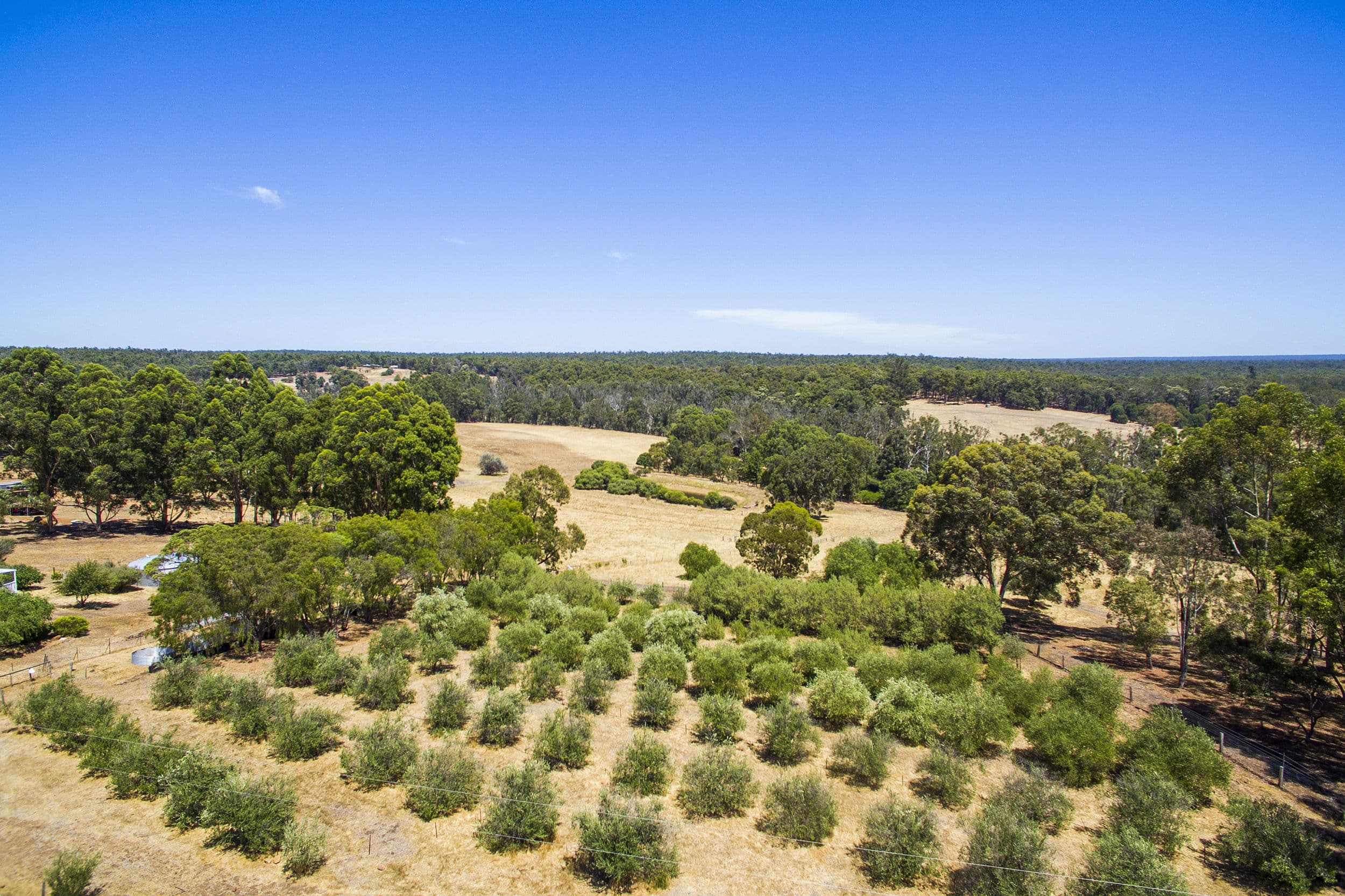 192 Dean Road, Nannup WA 6275, Nannup - Thumbnail 4