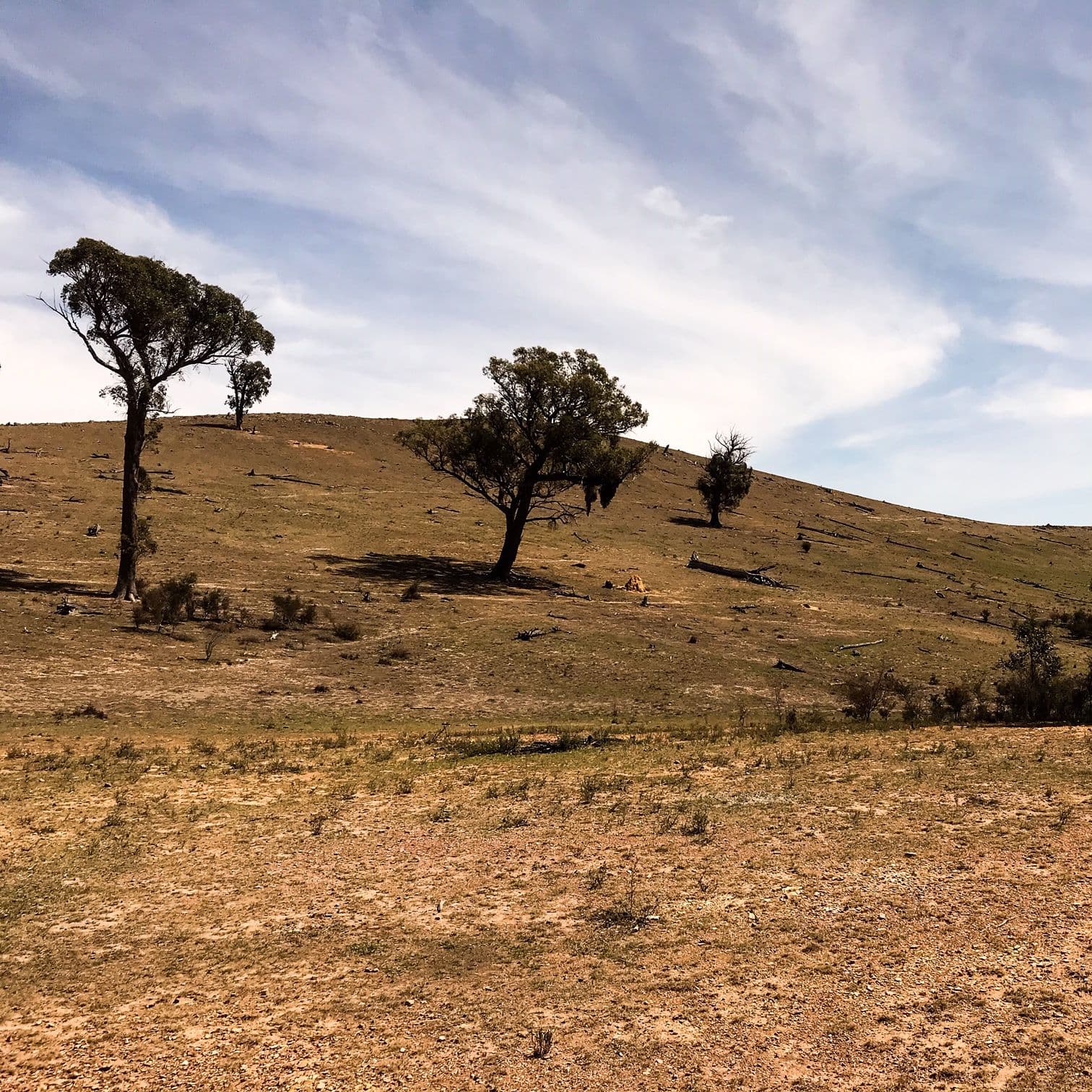 LOT 114 Kiowarrah Road, Crookwell NSW 2583, Crookwell - Image 1