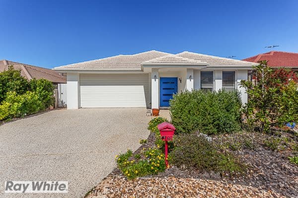 66 Clove Street, Griffin QLD 4503, Griffin - Thumbnail 3