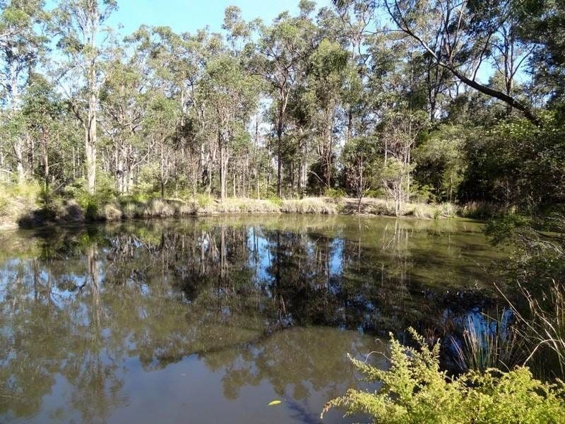 51 Forest Glen Road, Limeburners Creek - Thumbnail 3