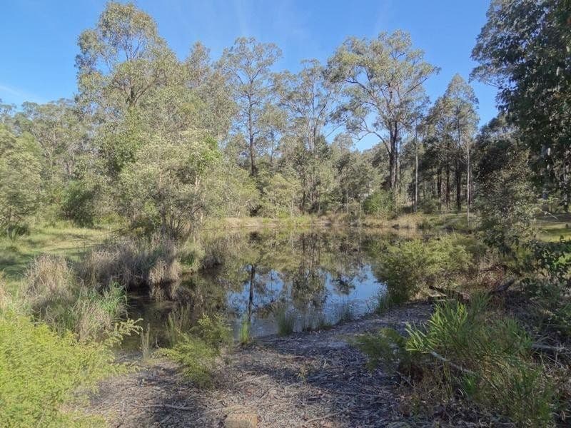51 Forest Glen Road, Limeburners Creek - Thumbnail 5
