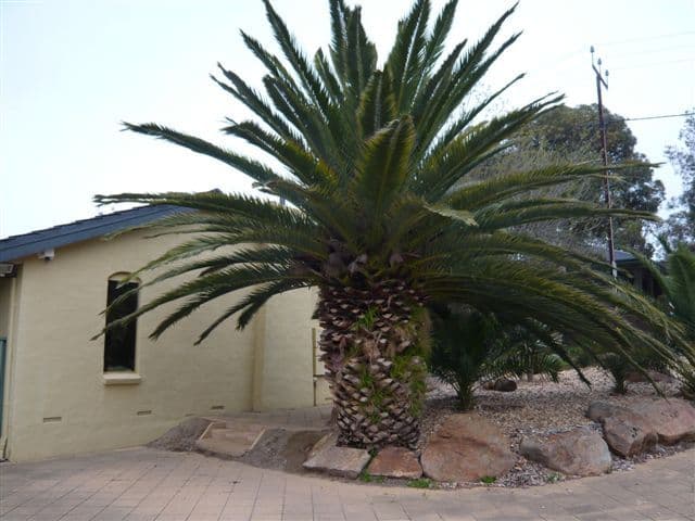 89 Hamilton Road, FAIRVIEW PARK SA 5126, Fairview Park - Thumbnail 2