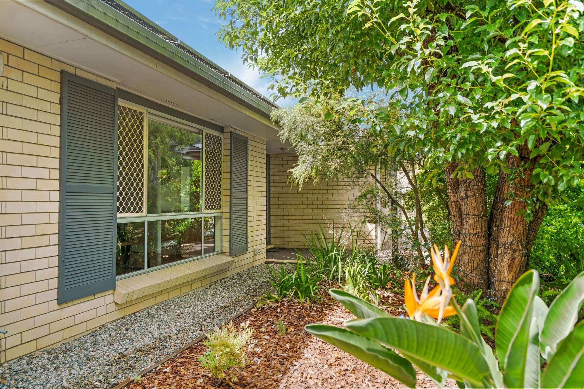 31 Pallinup Street, Riverhills QLD 4074, Riverhills - Thumbnail 4