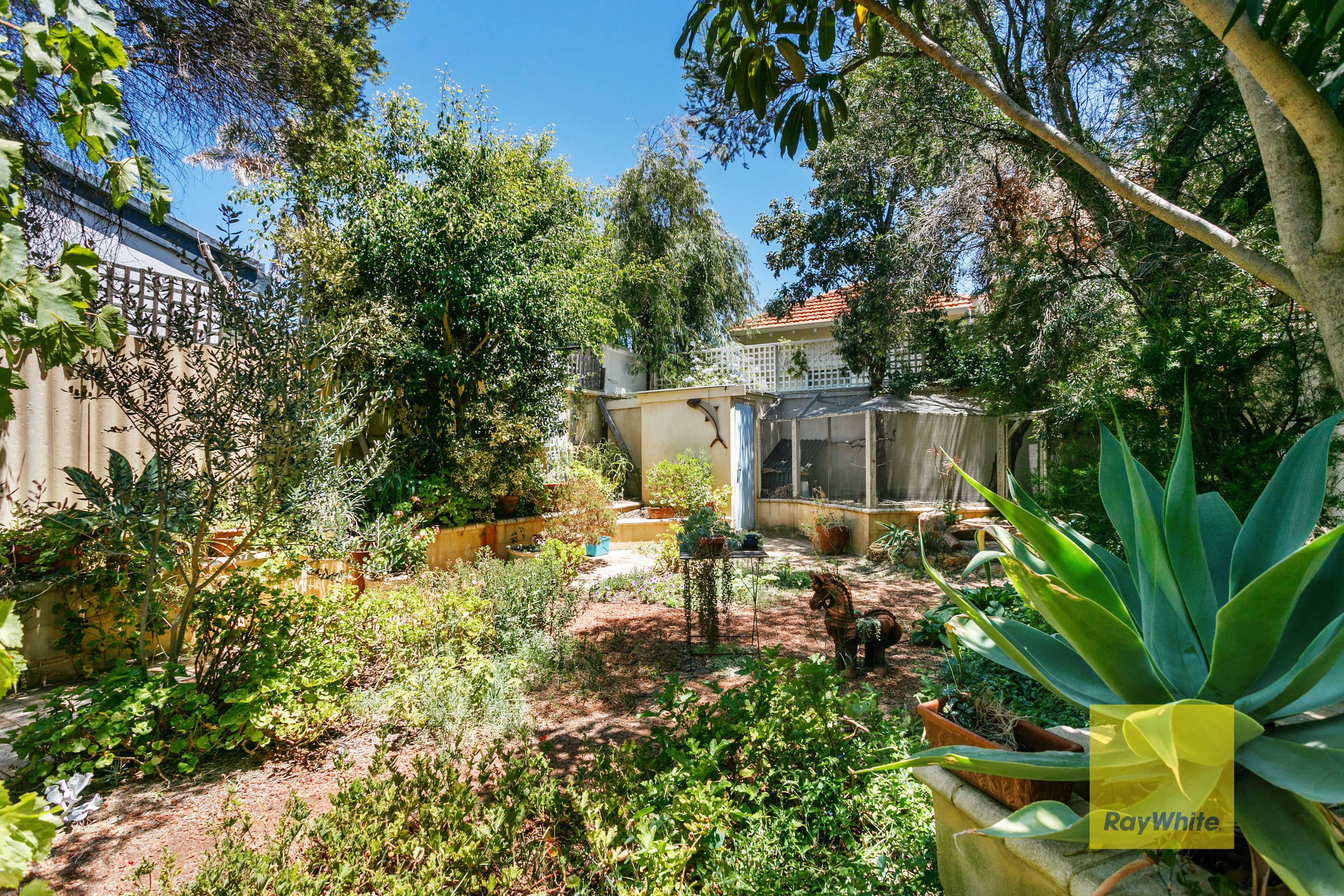 41 Margaret Street, Cottesloe WA 6011, Cottesloe - Thumbnail 8