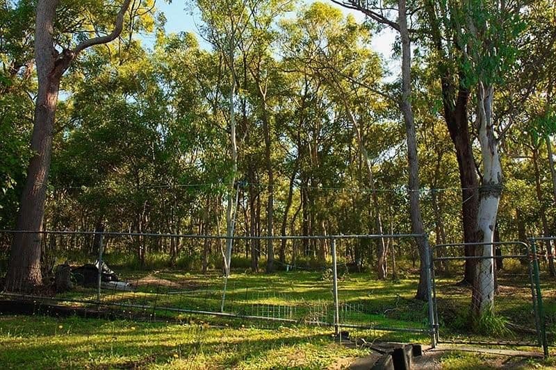 42 Dawson Road, ALEXANDRA HILLS QLD 4161, Alexandra Hills - Thumbnail 2
