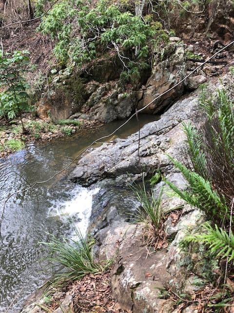 41 King Parrot Court, Clagiraba QLD 4211, Clagiraba - Thumbnail 3