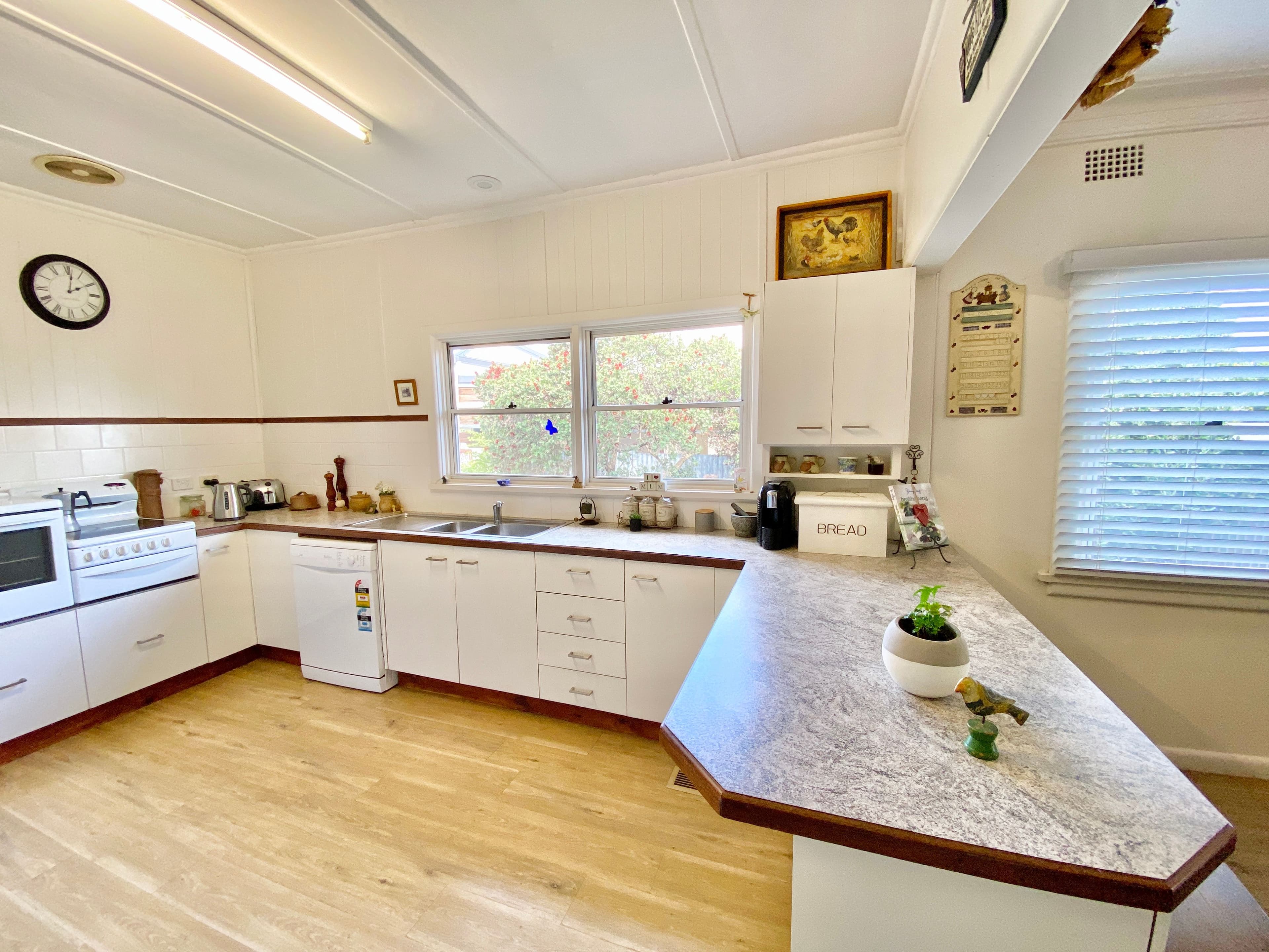40 Clement Street, Forbes NSW 2871, Forbes - Thumbnail 4