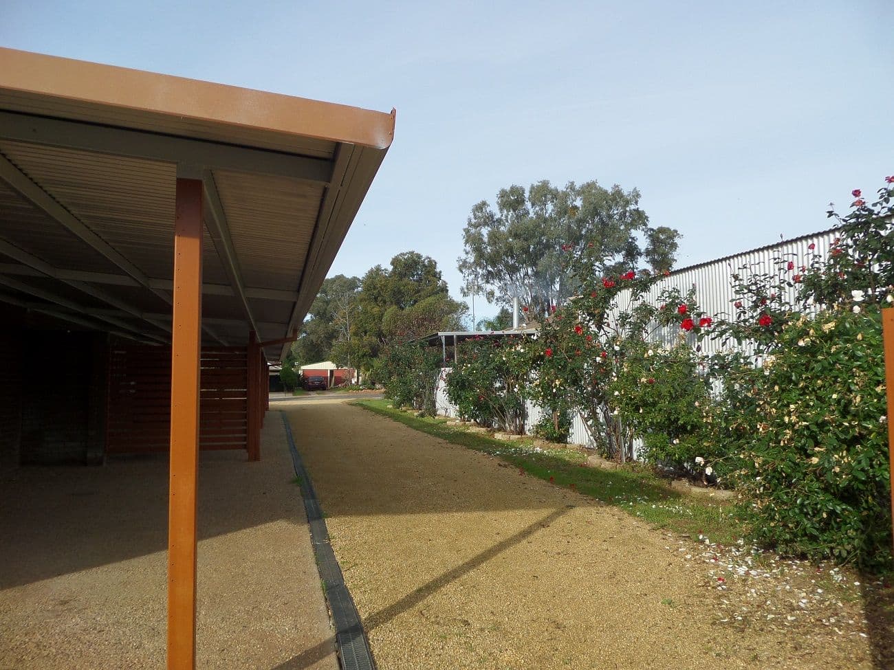 10 Helenor Crescent, NARRANDERA NSW 2700, Narrandera - Thumbnail 3