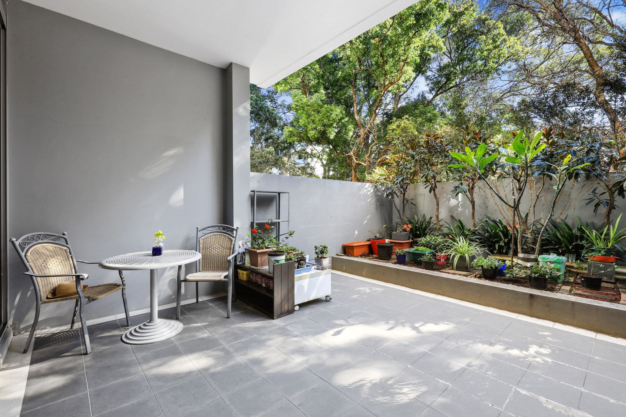 3 McIntyre Street, Gordon NSW 2072, Gordon - Image 1
