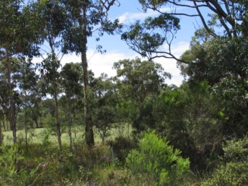 51 Augusta Circuit, PEREGIAN SPRINGS QLD 4573, Peregian Springs - Thumbnail 2
