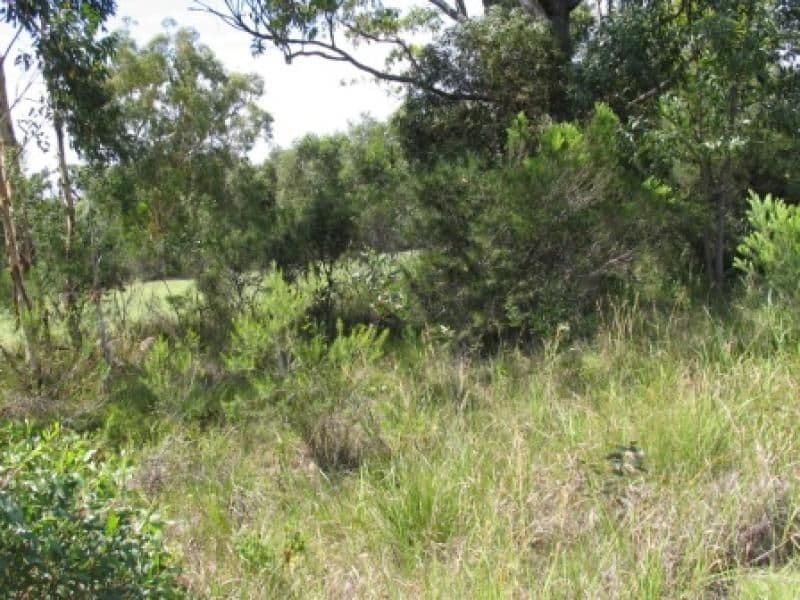 51 Augusta Circuit, PEREGIAN SPRINGS QLD 4573, Peregian Springs - Thumbnail 3