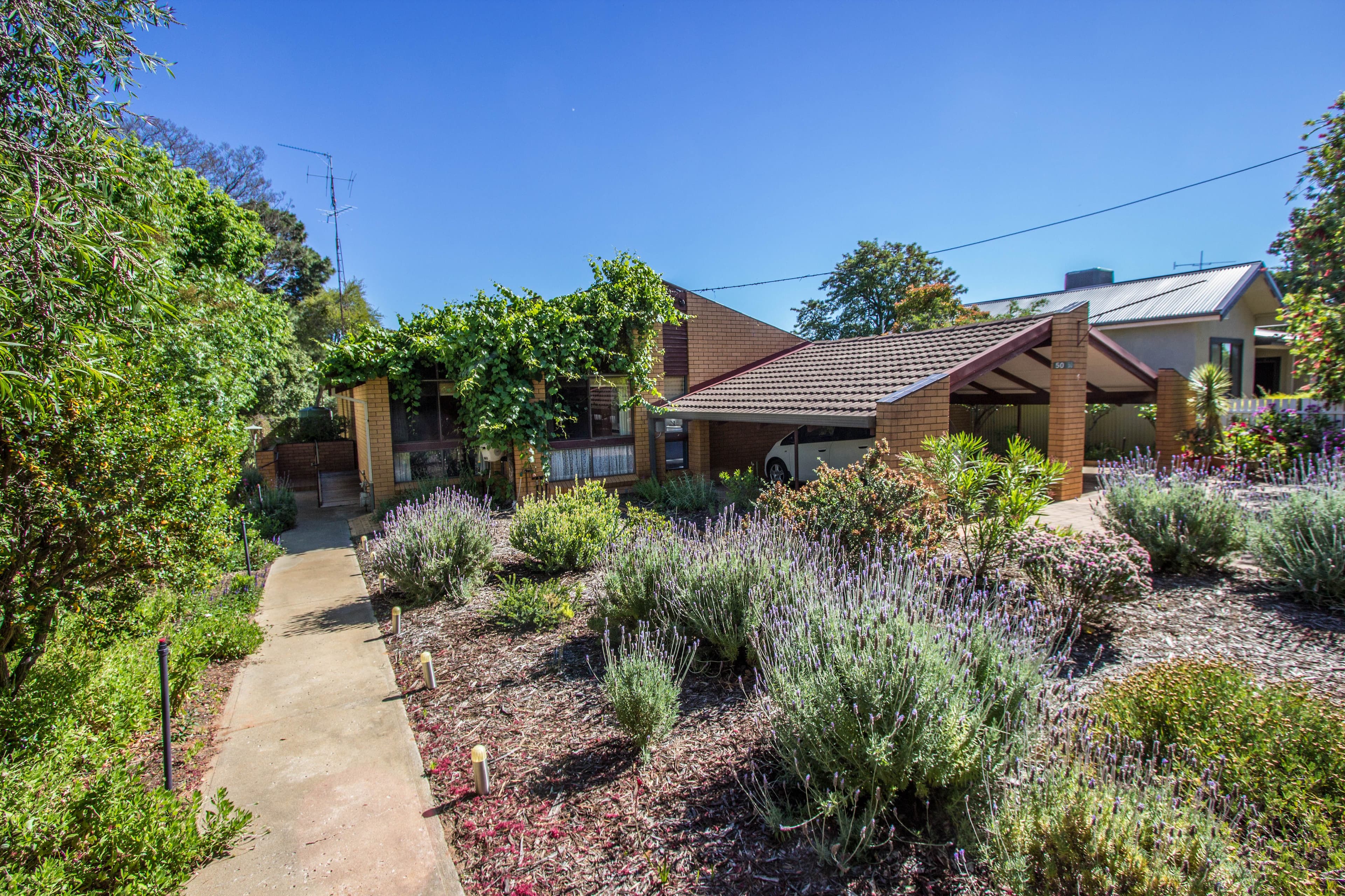 50 Melbourne Street, Narrandera - Image 1